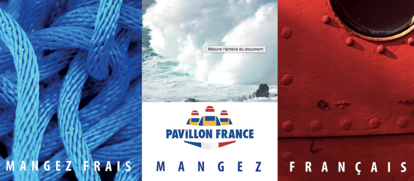 pavillon france gros mots display pavillon france