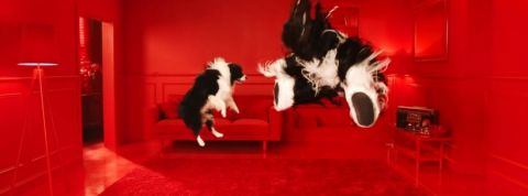 pub-schmackos Pub Schmackos