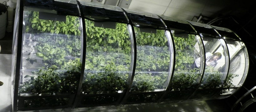 Serre-dans-l-espace Faire pousser des légumes dans l'espace