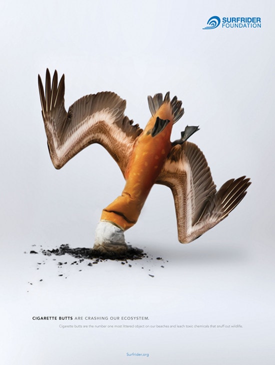 Surfrider foundation oiseau cigarette