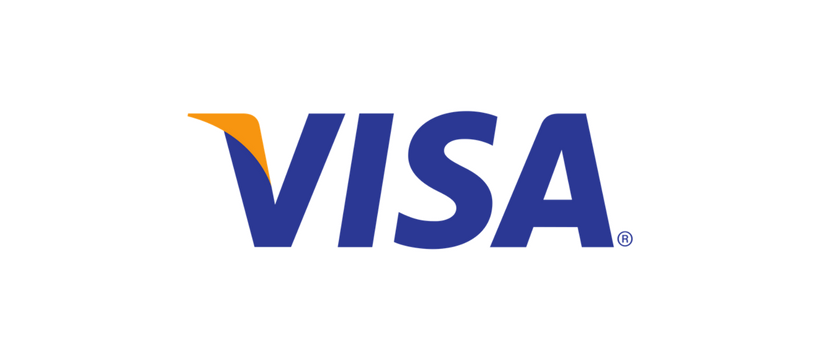 visa surfing logo visa