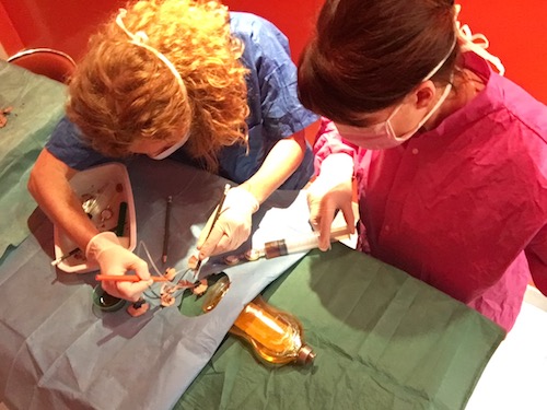 chirurgie rive droite