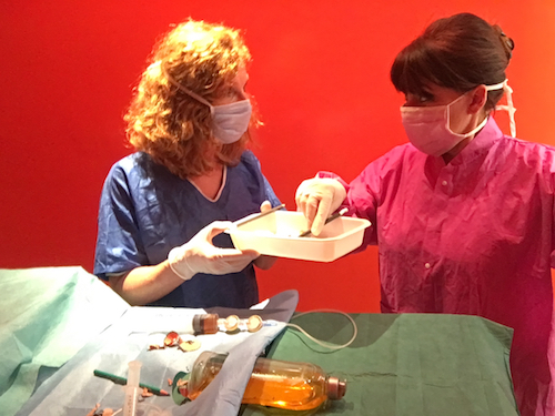 chirurgie rive droite