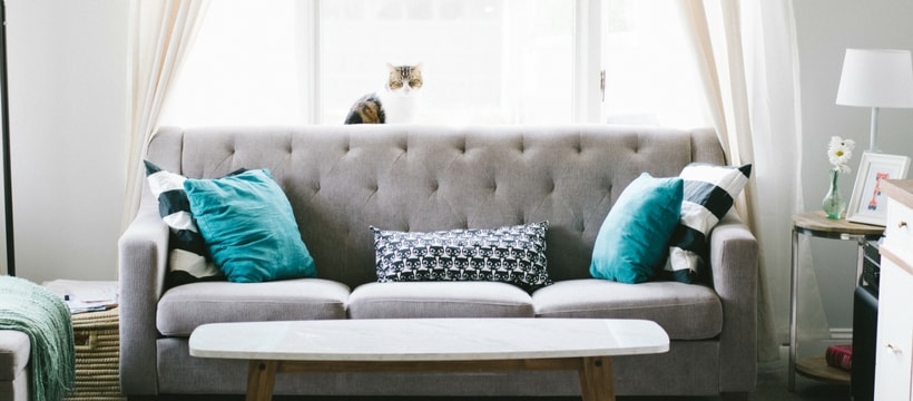 airbnb Sofa avec un chat dessus