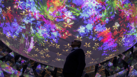 un homme regarde de l'art numérique