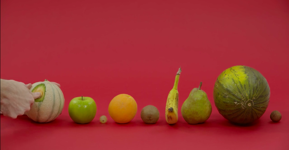 da-fruits da-fruits