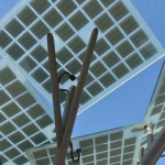 arbre photovoltaïque