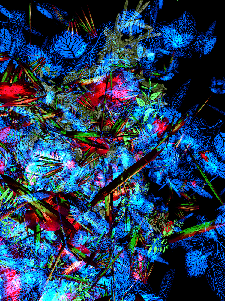 Miguel Chevalier oeuvre numérique