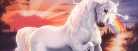 licorne Licorne