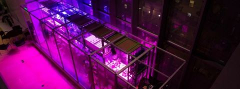 micro-serre micro-serre