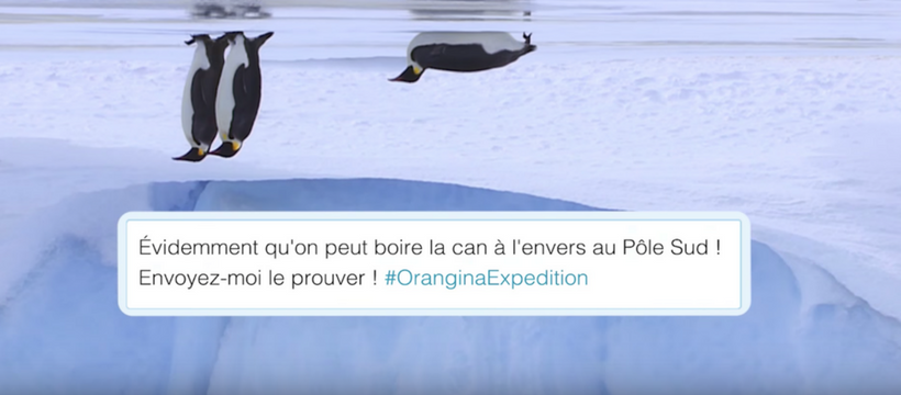 orangina tete envers pingouins sur la banquise