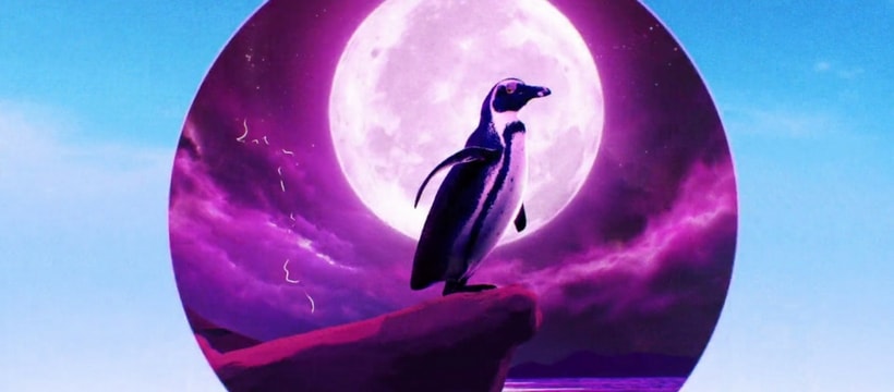 pingouin rock Pingouin Rock