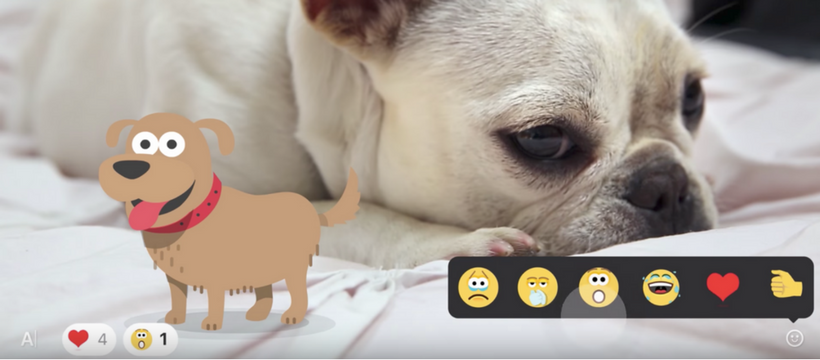 skype copie facebook snapchat carlin filmé