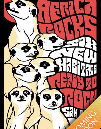 suricate suricate