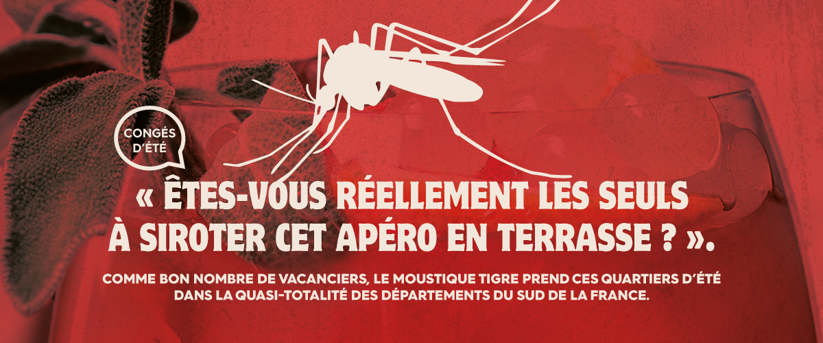 CS3D rat moustique CS3D affiche insecte contre les nuisibles