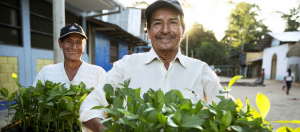 deux personnes portent des plantes