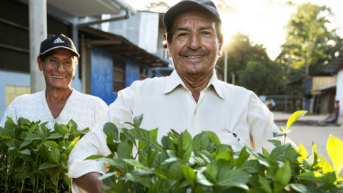 deux personnes portent des plantes