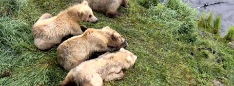 ours-google Ours Google Earth