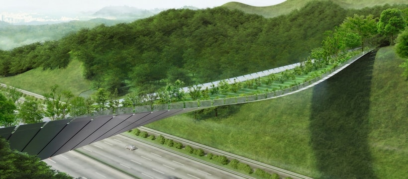 pont-vegetal-coree Pont écologique - Corée