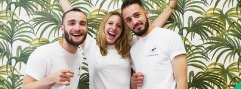 Equipe d'Une Fourmii Verte