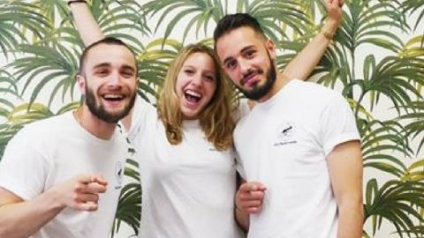 Equipe d'Une Fourmii Verte