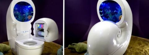 wc aquarium wc aquarium