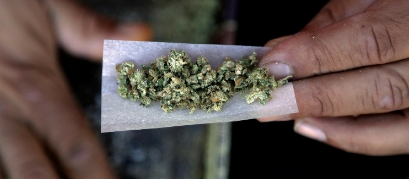 cannabis cannabis