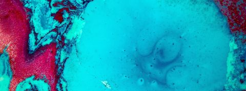 joel-filipe-200538 joel-filipe-200538