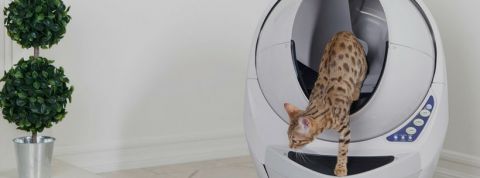 Litter Robot Litter Robot