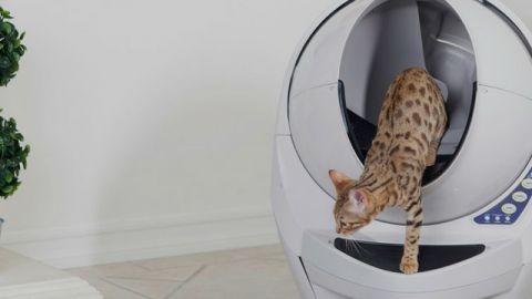 Litter Robot
