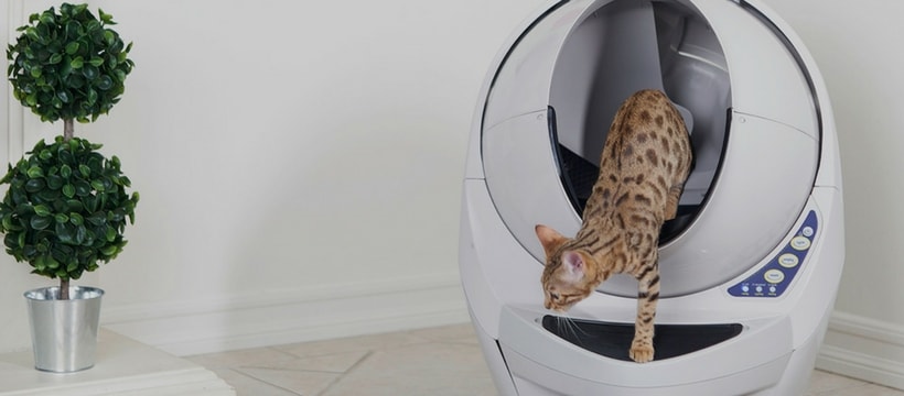 Litter Robot Litter Robot