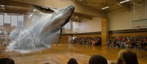 magic leap baleine