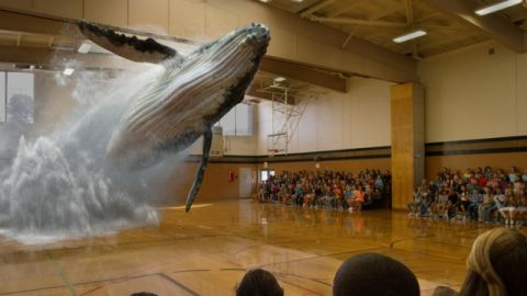 magic leap baleine