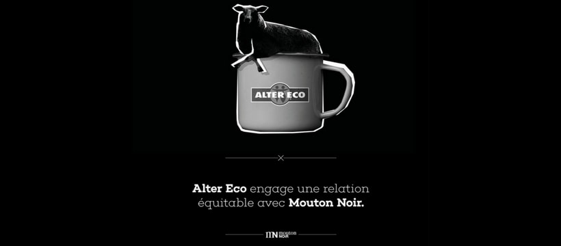Alter eco Mouton Noir mouton allonge dans une tasse de cafe