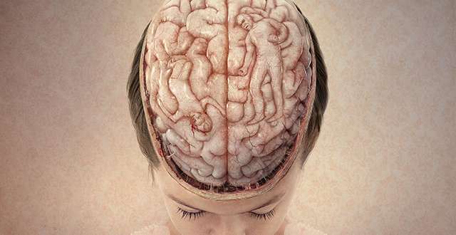 Domestic Abuse cerveau dun enfant marque par la violence