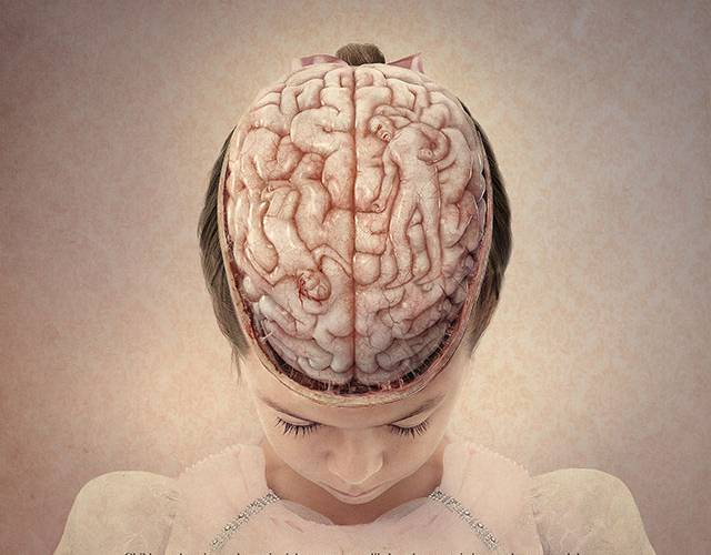 Domestic Abuse cerveau dun enfant marque par la violence