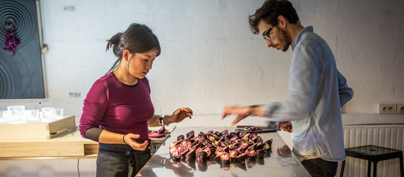 deux jeunes chefs cuisinent