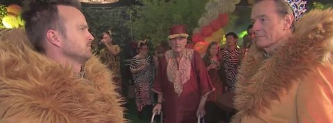 Halloween Costume bryan cranston et aaron paul en costume de lion