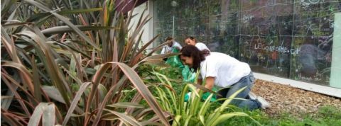 nexity La terrasse végétalisée de chez Nexity