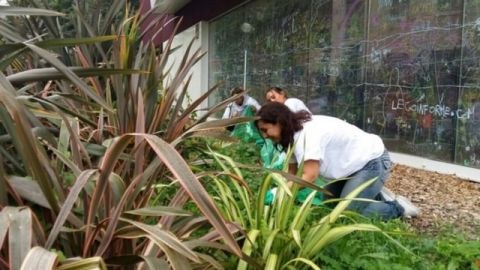 La terrasse végétalisée de chez Nexity
