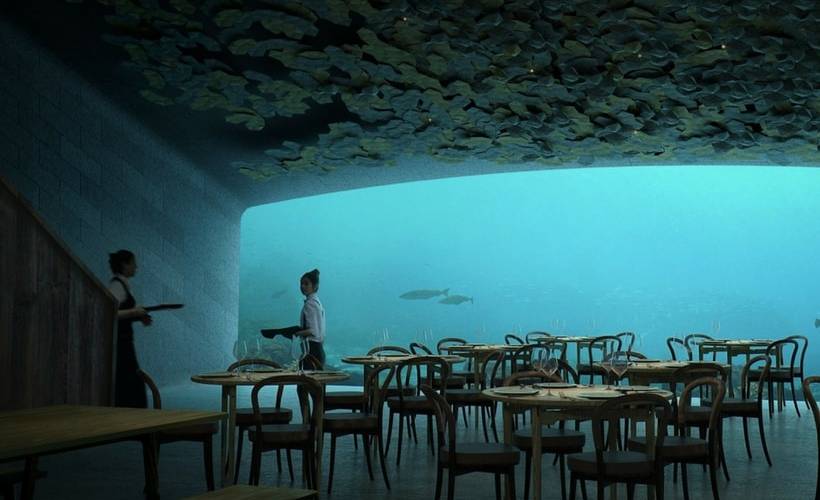 restaurant-under restaurant under