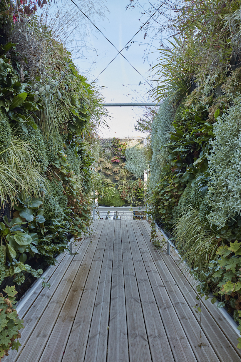 La terrasse végétalisée de Nexity