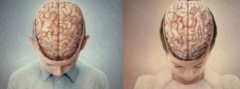 Violences Conjugales Violences Conjugales