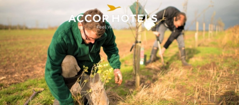 accor AccorHotels lance une plateforme pour soutenir l'agroforesterie
