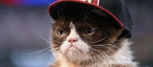 Grumpy Cat en casquette