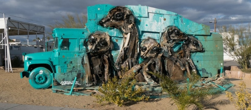 Suricates en dechets