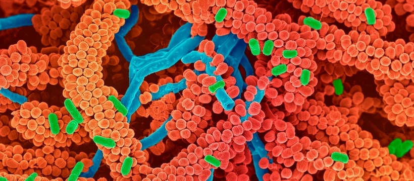 eligo bioscience Des molécules
