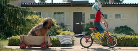 PB Extrait d'une publicité Petit Bateau, dans laquelle un petit garçon tire son chien depuis son vélo à l'aide de sa marinière