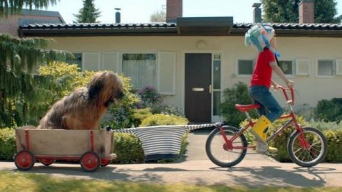 Extrait d'une publicité Petit Bateau, dans laquelle un petit garçon tire son chien depuis son vélo à l'aide de sa marinière