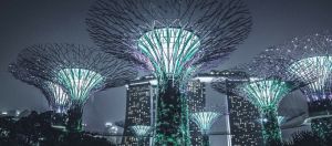 Gardens by the bay à Singapour